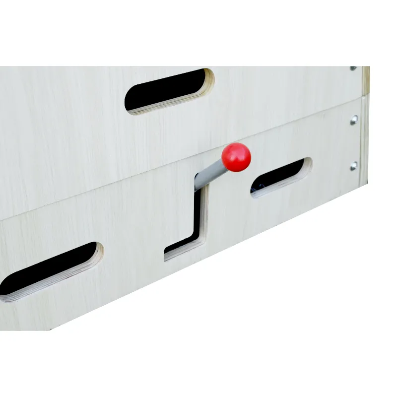 5 Section Valuting Box