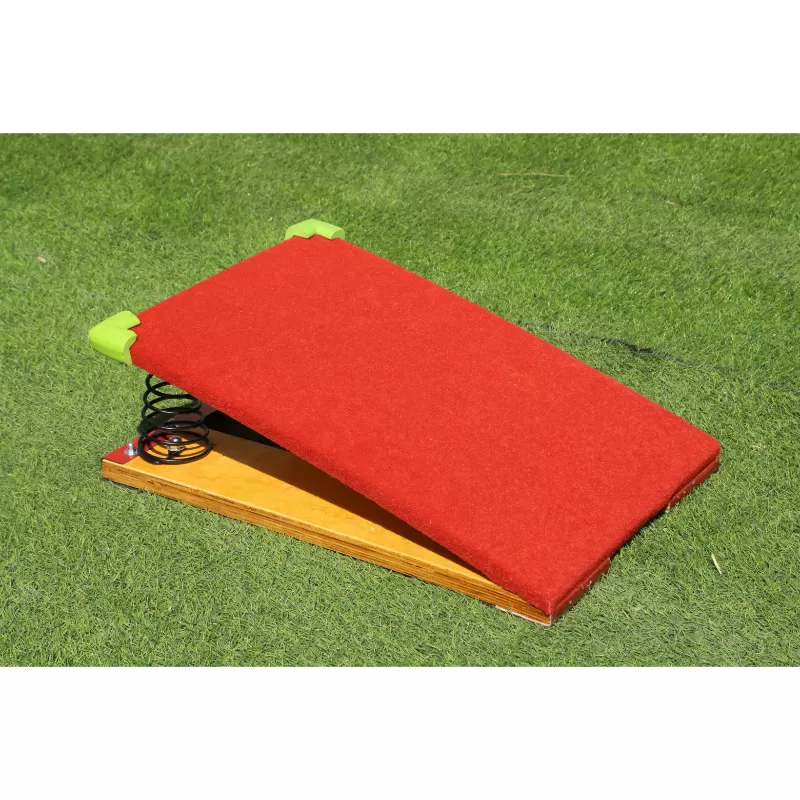 Spring Board (For Child)