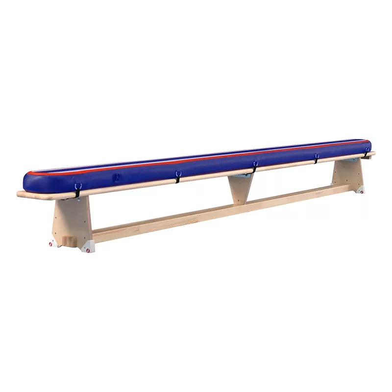 Gym Bench + Inflatable Mat