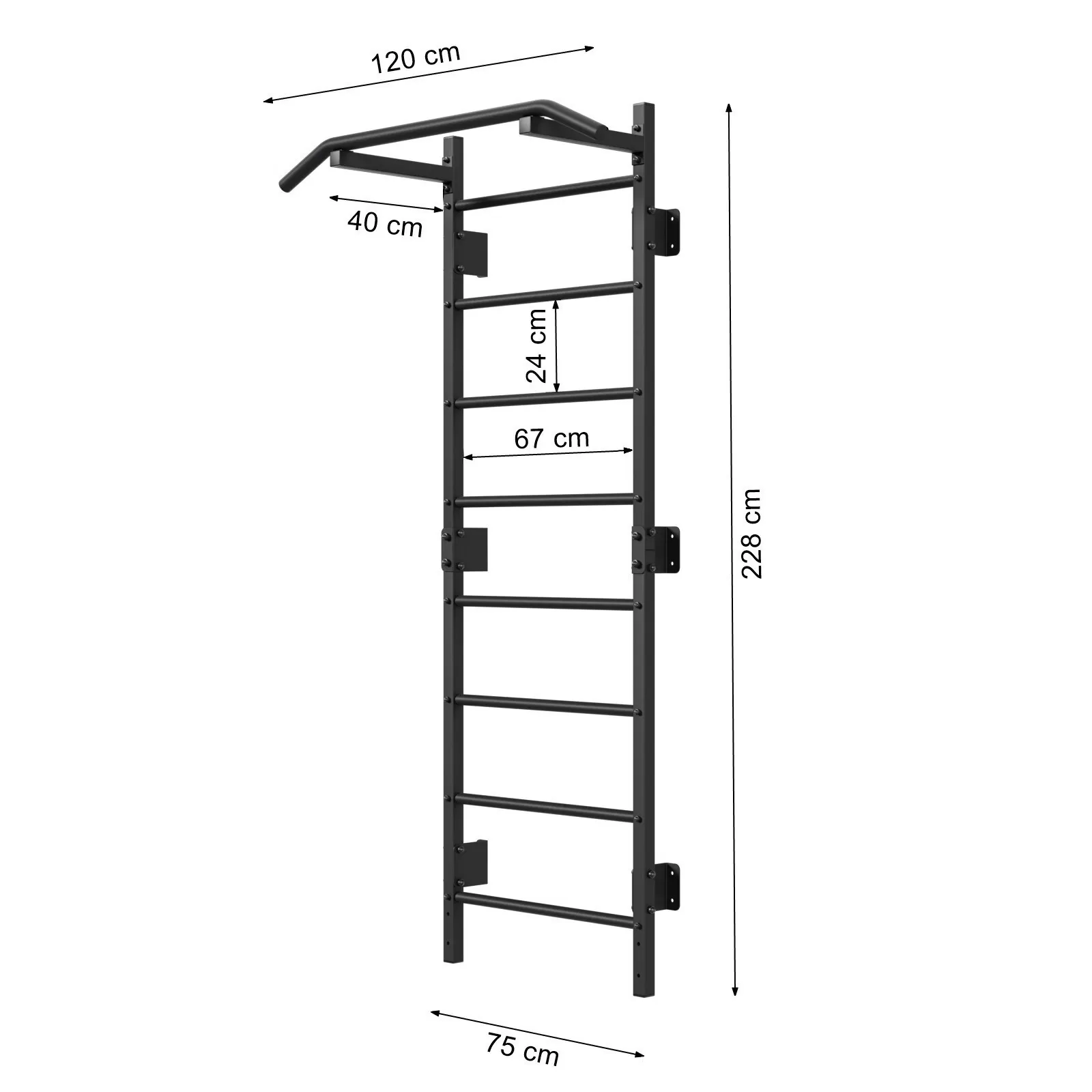 Fitness Rib Rack Wall